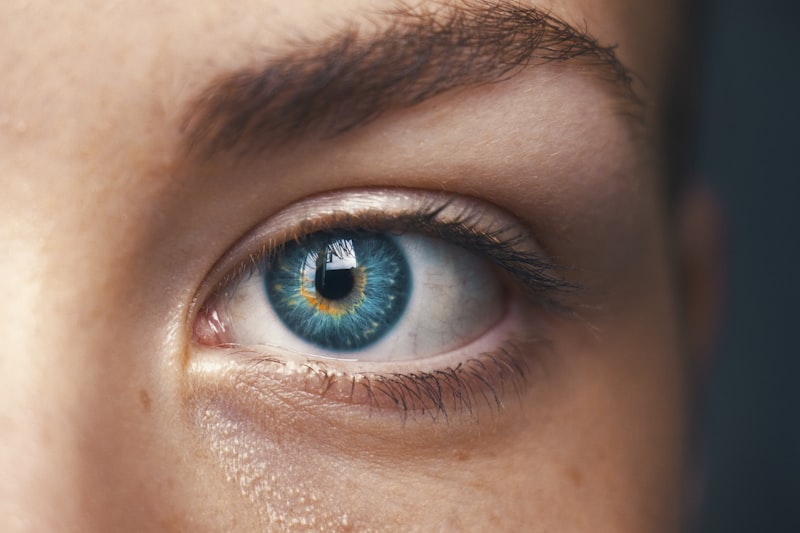 Editor's pick: The Tear Film: A Three-Layer System Protecting the Eye